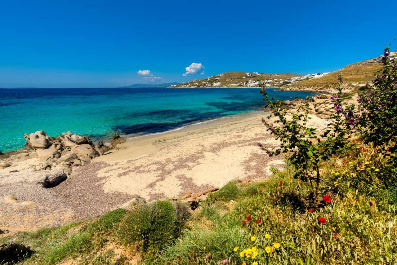 Amorous Luxury Villa Agios Ioannis Diakoftis Esterno foto